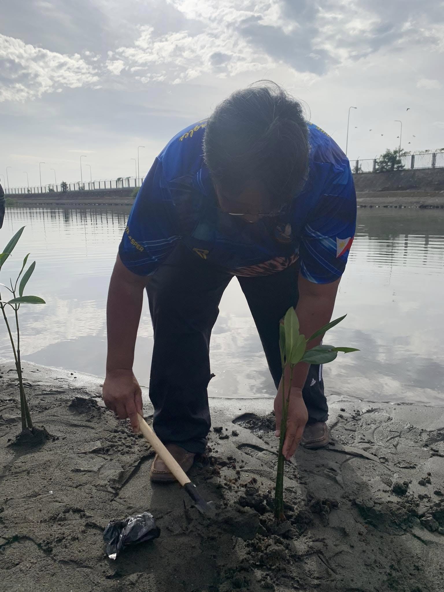 Mangrove Planting