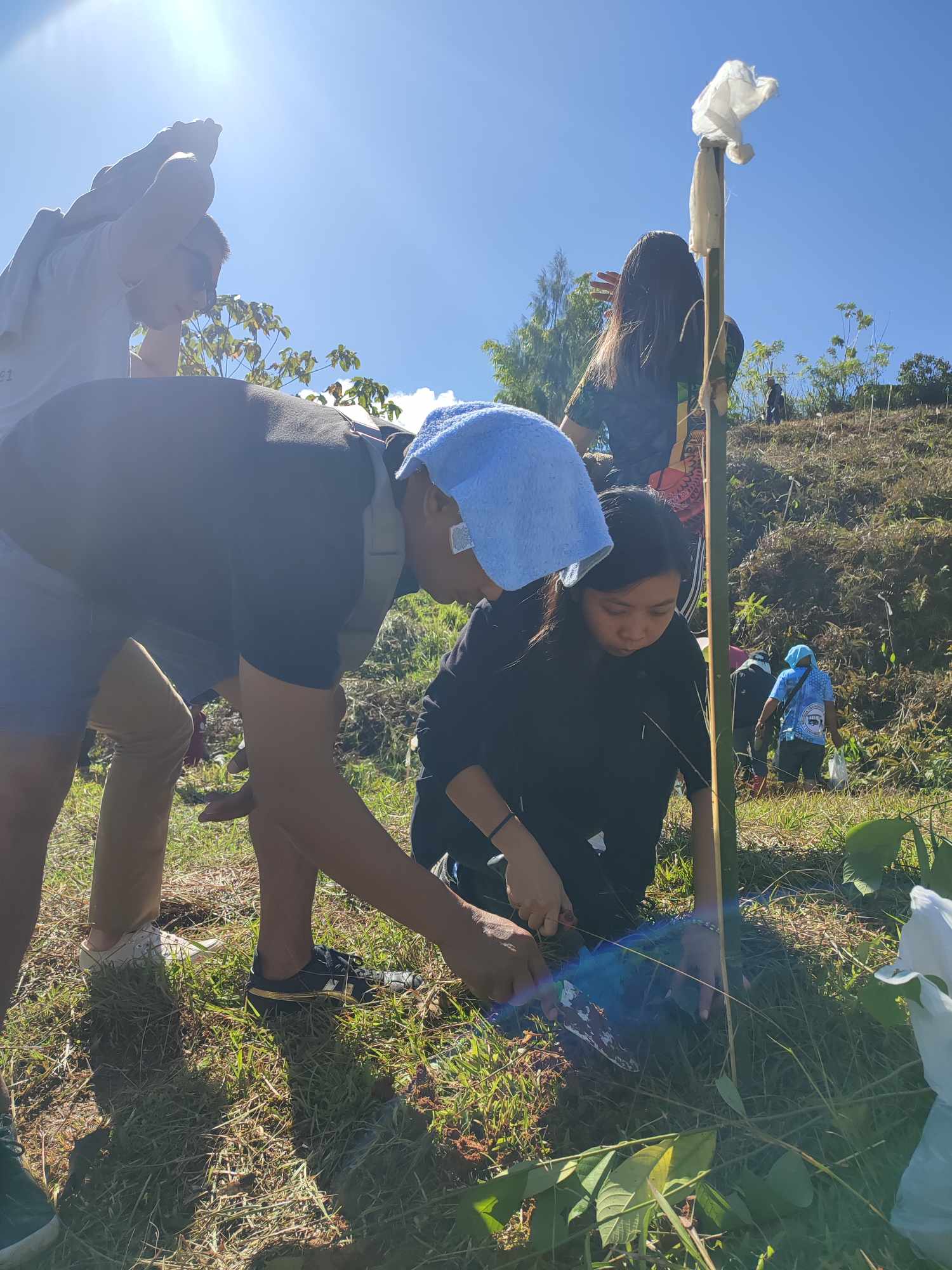 Mangrove Planting